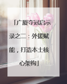 广厦夺冠启示录之二：外援赋能，打造本土核心架构