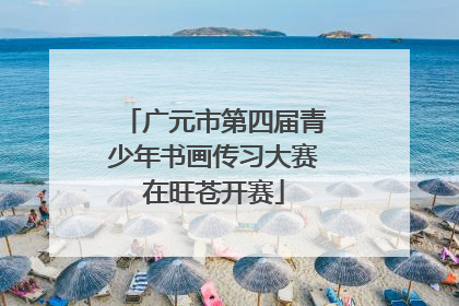 广元市第四届青少年书画传习大赛在旺苍开赛