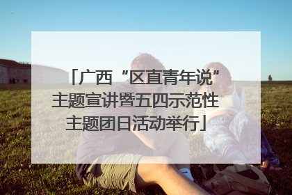 广西“区直青年说”主题宣讲暨五四示范性主题团日活动举行