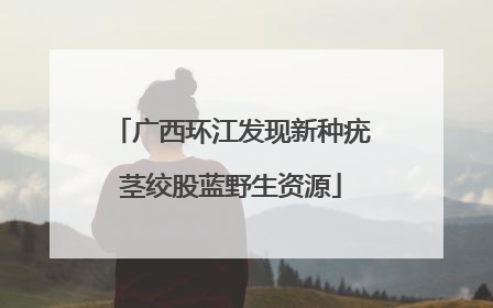 广西环江发现新种疣茎绞股蓝野生资源