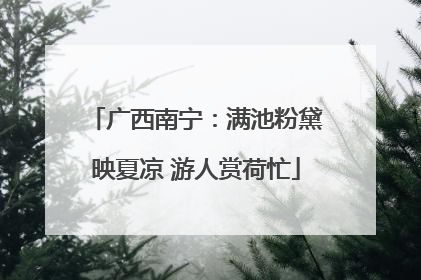 广西南宁：满池粉黛映夏凉 游人赏荷忙