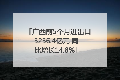 广西前5个月进出口3236.4亿元 同比增长14.8%