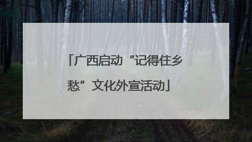 广西启动“记得住乡愁”文化外宣活动