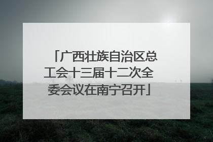 广西壮族自治区总工会十三届十二次全委会议在南宁召开