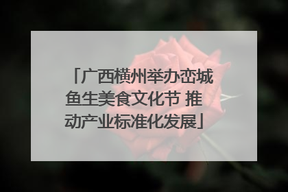 广西横州举办峦城鱼生美食文化节 推动产业标准化发展