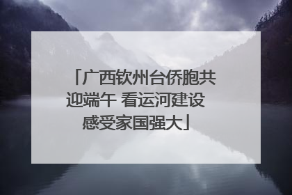 广西钦州台侨胞共迎端午 看运河建设感受家国强大