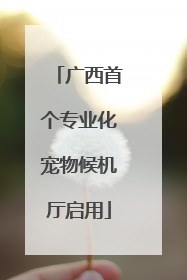 广西首个专业化宠物候机厅启用