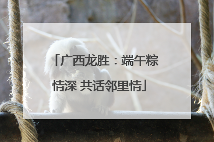 广西龙胜：端午粽情深 共话邻里情