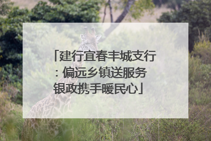 建行宜春丰城支行：偏远乡镇送服务 银政携手暖民心