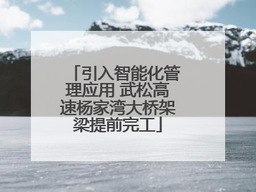 引入智能化管理应用 武松高速杨家湾大桥架梁提前完工