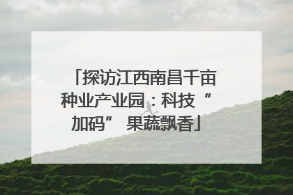 探访江西南昌千亩种业产业园：科技“加码” 果蔬飘香