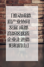 推动成德眉产业协同发展 成都高新区优质企业走进德阳和眉山