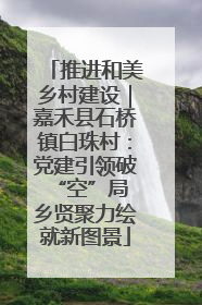 推进和美乡村建设｜嘉禾县石桥镇白珠村：党建引领破“空”局 乡贤聚力绘就新图景