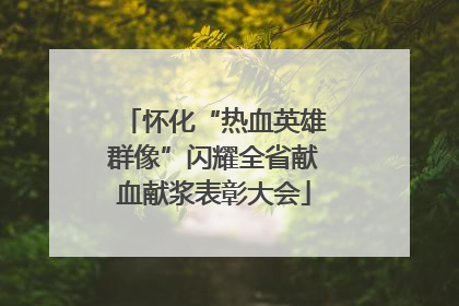 怀化“热血英雄群像”闪耀全省献血献浆表彰大会