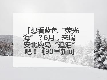 想看蓝色“荧光海”？6月，来瑞安北麂岛“追泪”吧！《90早新闻》来了