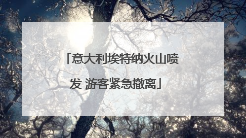 意大利埃特纳火山喷发 游客紧急撤离