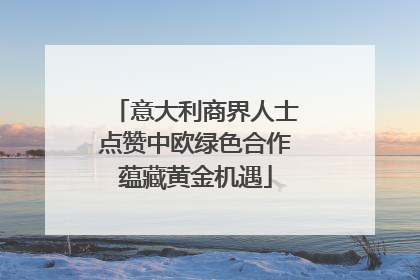 意大利商界人士点赞中欧绿色合作蕴藏黄金机遇