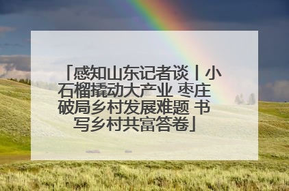 感知山东记者谈丨小石榴撬动大产业 枣庄破局乡村发展难题 书写乡村共富答卷