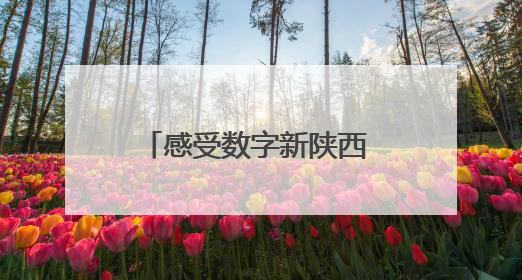 感受数字新陕西 体验文化新消费