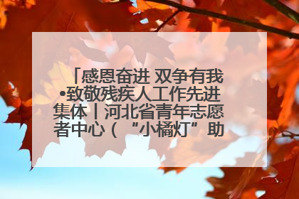 感恩奋进 双争有我•致敬残疾人工作先进集体丨河北省青年志愿者中心（“小橘灯”助残接力计划实施团队）：用温暖陪伴，守护特殊孩子成长