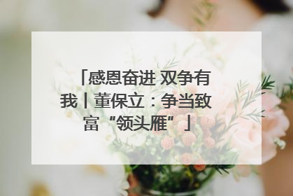 感恩奋进 双争有我丨董保立：争当致富“领头雁”