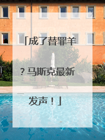 成了替罪羊？马斯克最新发声！