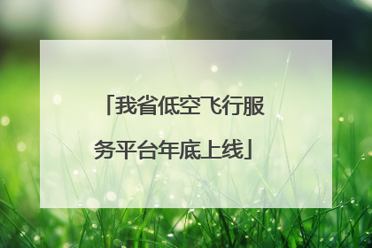 我省低空飞行服务平台年底上线