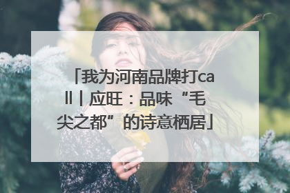 我为河南品牌打call丨应旺：品味“毛尖之都”的诗意栖居