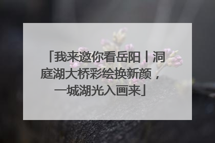 我来邀你看岳阳丨洞庭湖大桥彩绘换新颜，一城湖光入画来