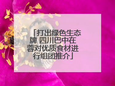 打出绿色生态牌 四川巴中在蓉对优质食材进行组团推介