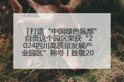 打造“中国绿色氟都” 自贡这个园区荣获“2024四川高质量发展产业园区”称号丨致敬2024经济影响力人物