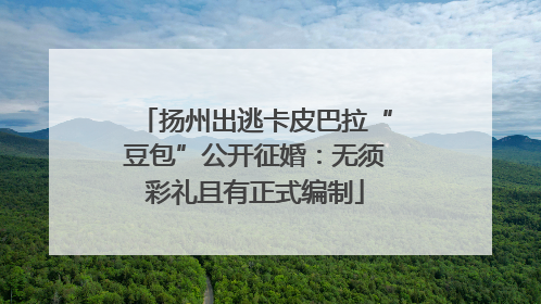 扬州出逃卡皮巴拉“豆包”公开征婚：无须彩礼且有正式编制