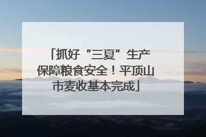 抓好“三夏”生产 保障粮食安全！平顶山市麦收基本完成