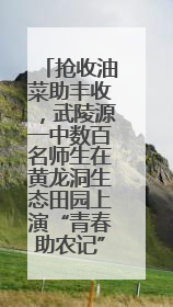 抢收油菜助丰收，武陵源一中数百名师生在黄龙洞生态田园上演“青春助农记”