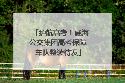 护航高考！威海公交集团高考保障车队整装待发