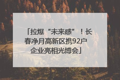 拉爆“未来感”！长春净月高新区携92户企业亮相光博会