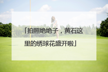 拍照绝绝子，黄石这里的绣球花盛开啦
