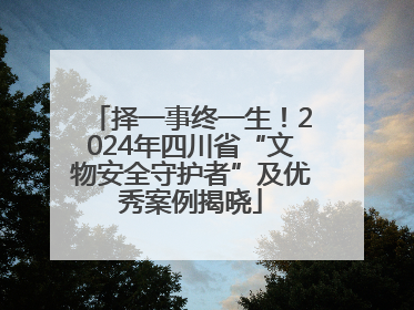 择一事终一生！2024年四川省“文物安全守护者”及优秀案例揭晓