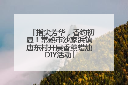 指尖芳华，香约初夏！常熟市沙家浜镇唐东村开展香薰蜡烛DIY活动