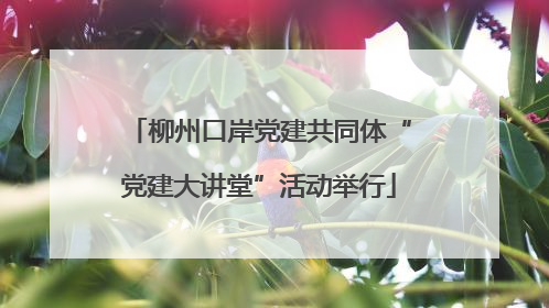 柳州口岸党建共同体“党建大讲堂”活动举行