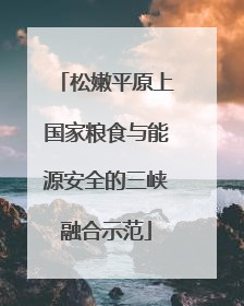 松嫩平原上国家粮食与能源安全的三峡融合示范