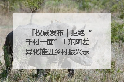 权威发布｜拒绝“千村一面”！东阿差异化推进乡村振兴示范片区建设