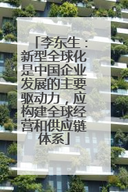 李东生：新型全球化是中国企业发展的主要驱动力，应构建全球经营和供应链体系