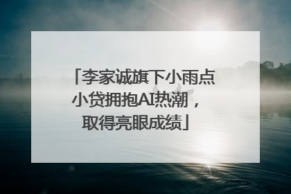 李家诚旗下小雨点小贷拥抱AI热潮，取得亮眼成绩