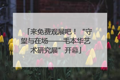 来免费观展吧！“守望与在场——毛本华艺术研究展”开幕