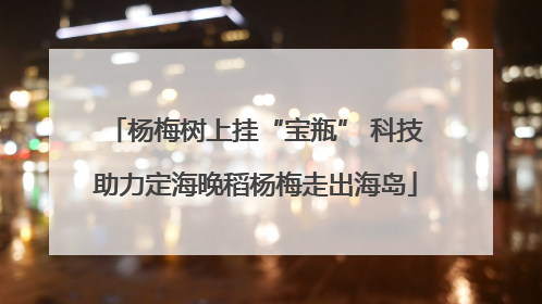 杨梅树上挂“宝瓶” 科技助力定海晚稻杨梅走出海岛