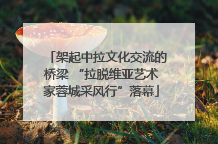 架起中拉文化交流的桥梁 “拉脱维亚艺术家蓉城采风行”落幕