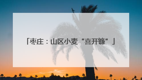 枣庄：山区小麦“喜开镰”