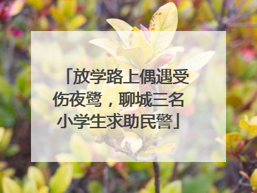 放学路上偶遇受伤夜鹭，聊城三名小学生求助民警