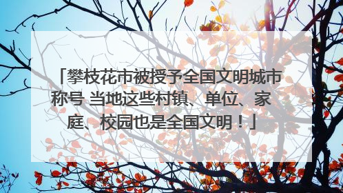 攀枝花市被授予全国文明城市称号 当地这些村镇、单位、家庭、校园也是全国文明！